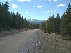 Bighorn National Forest